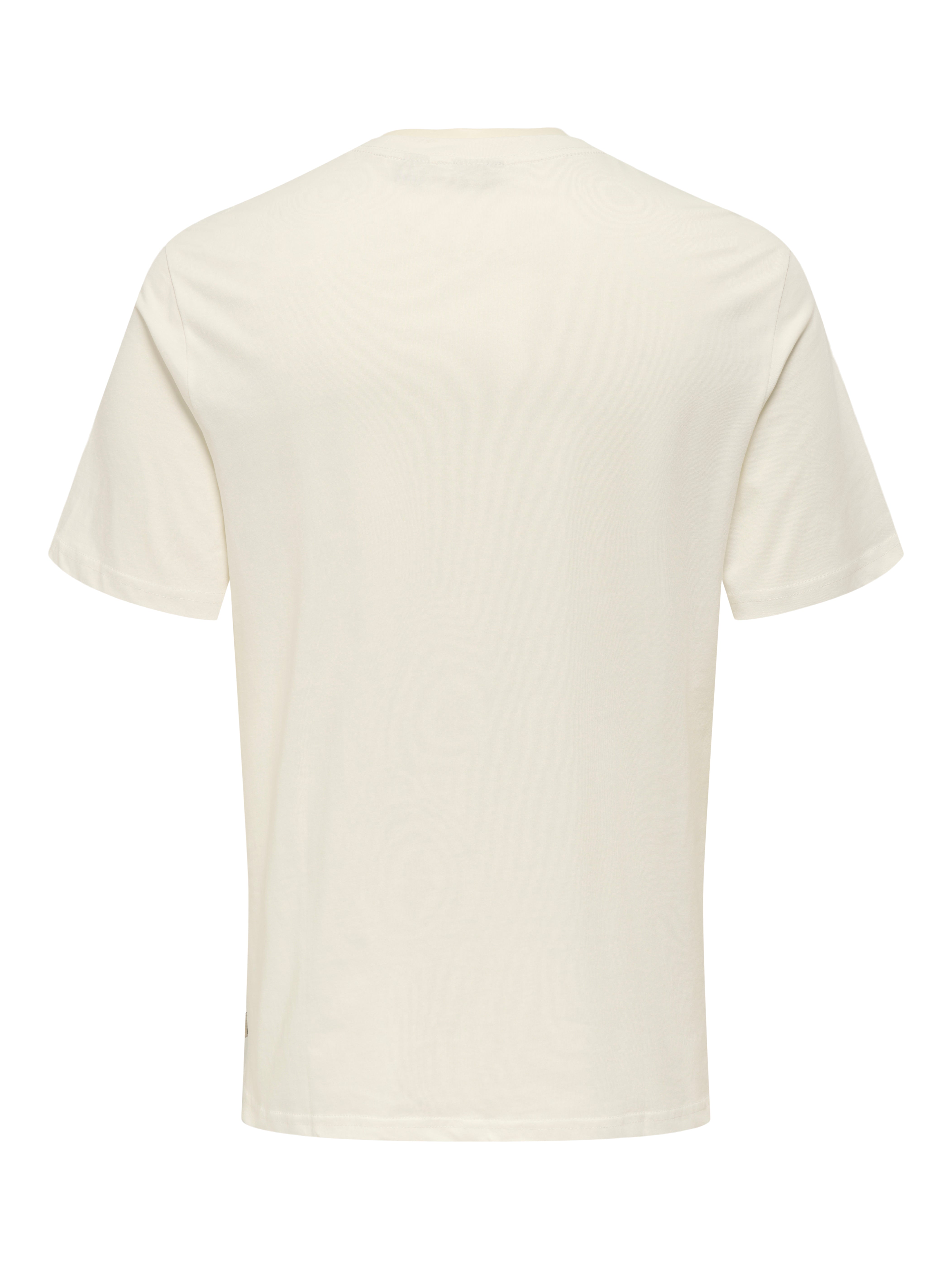 t-shirt paradise