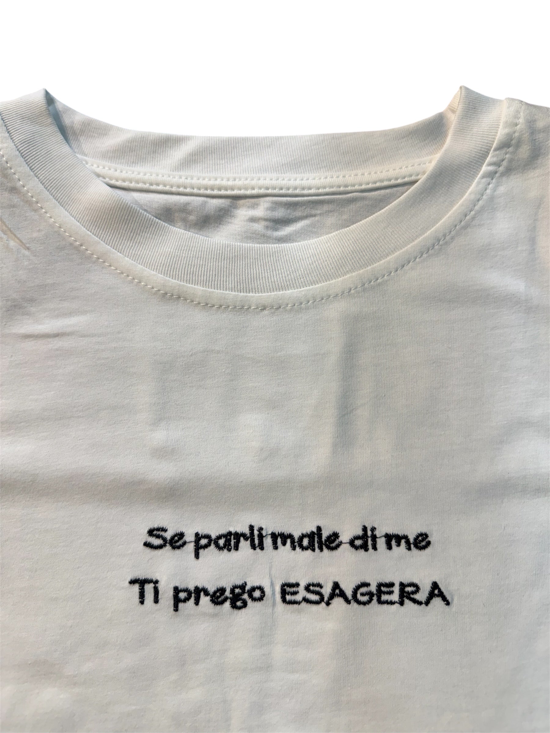 T-shirt ricamo se parli male di me ti prego esagera