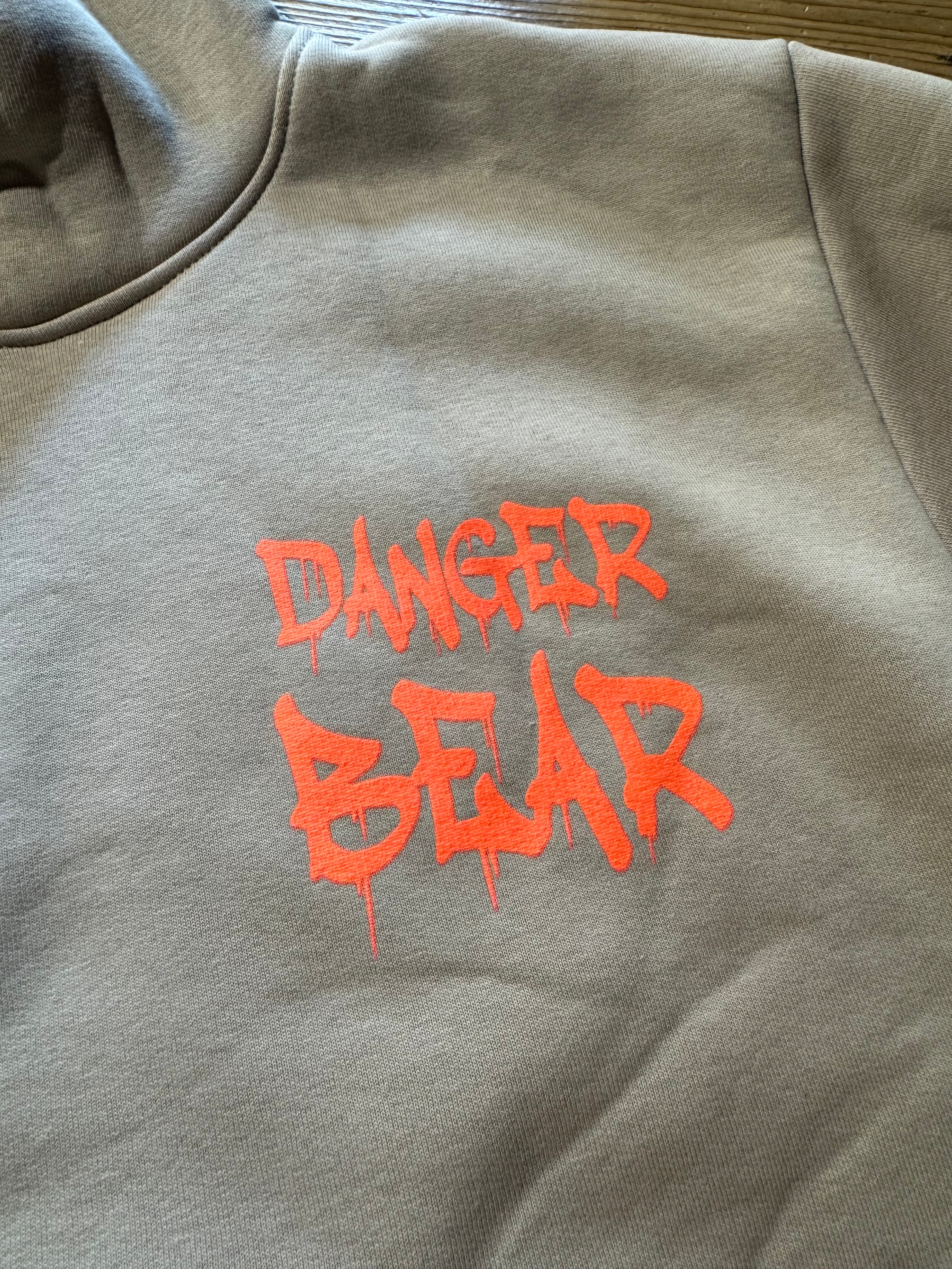 Felpa Ragazzo Felpata Danger Bear Sabbia
