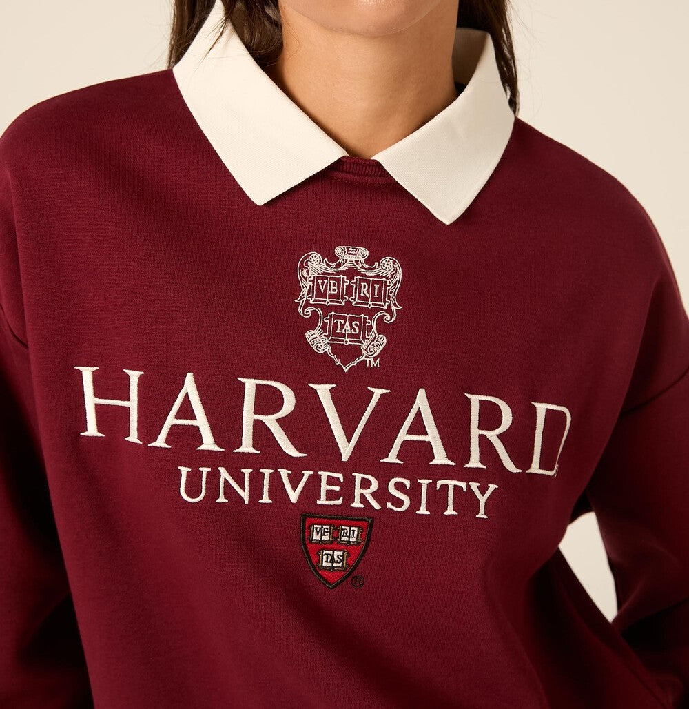 Felpa Campus Stile Polo Harvard Felpata Borgogna