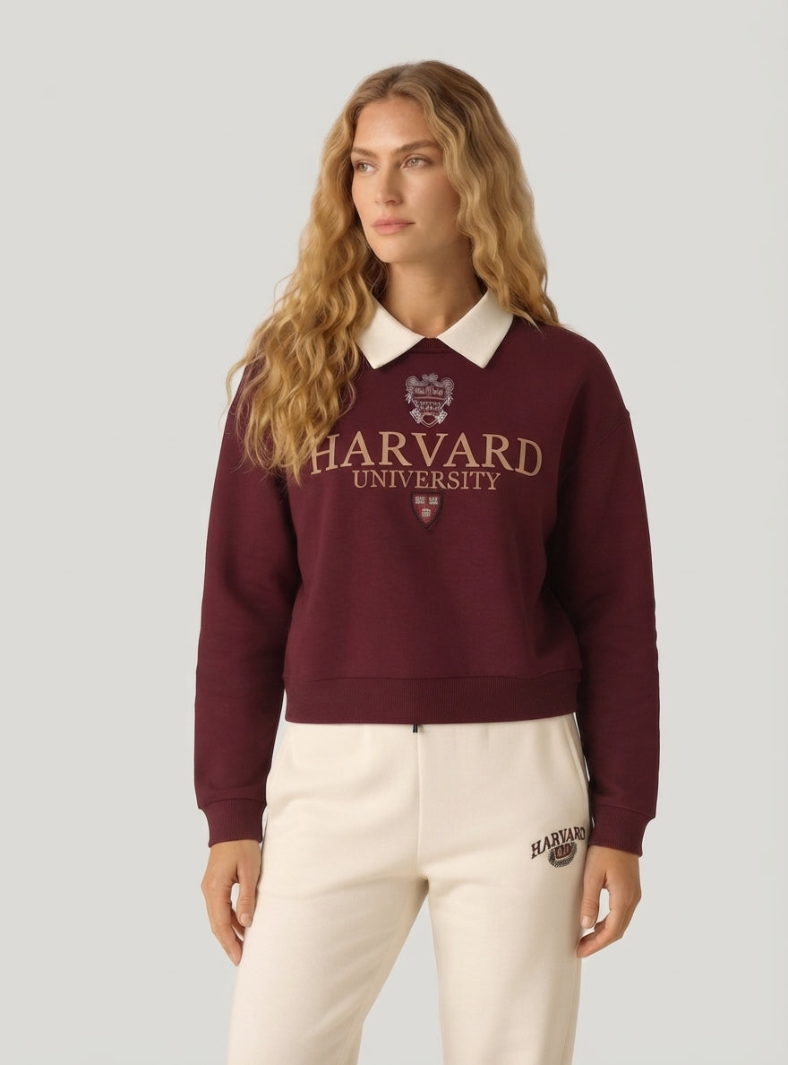 Felpa Campus Stile Polo Harvard Felpata Borgogna