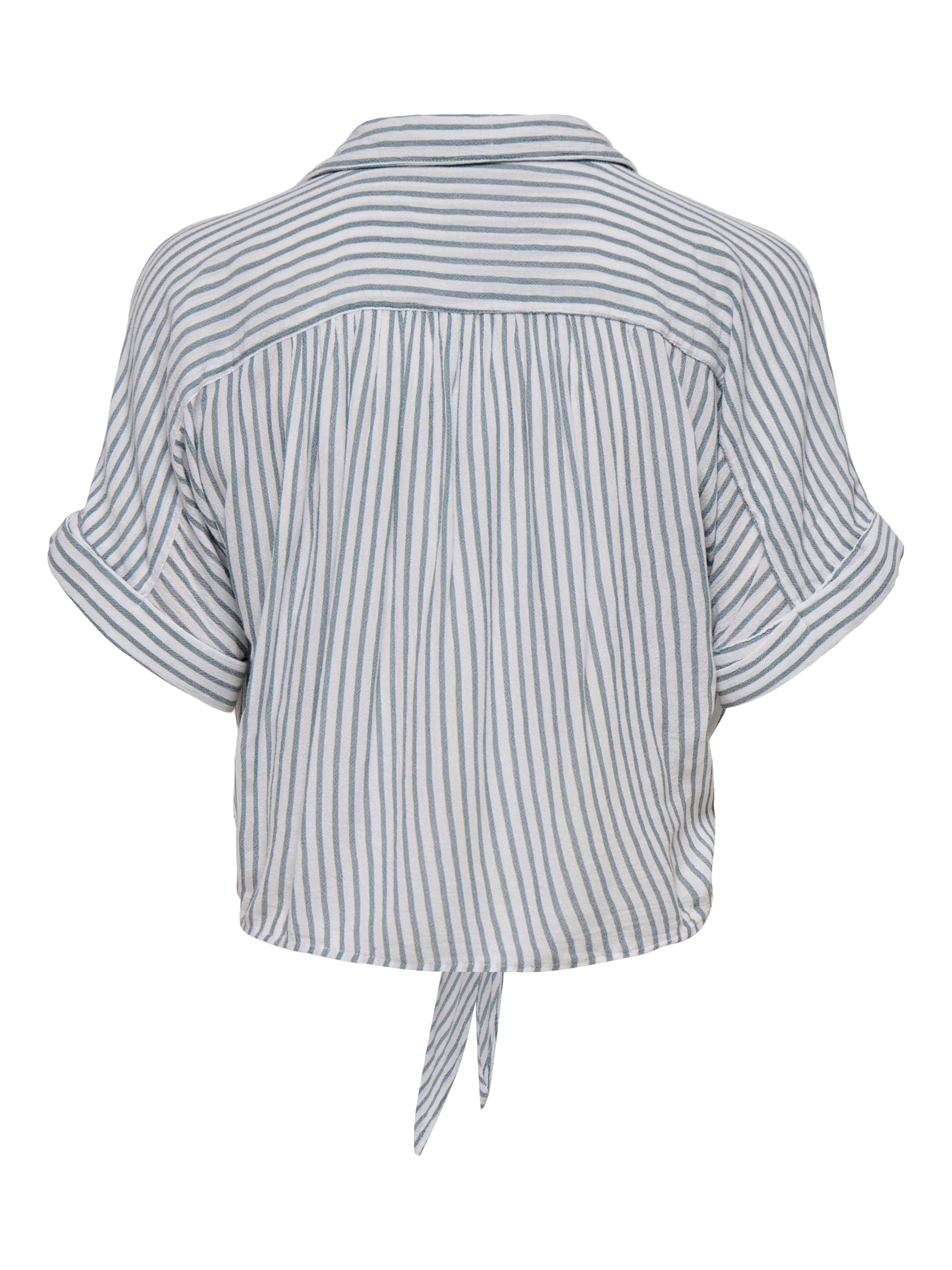Camicia Paula a Righe Verde e Bianco